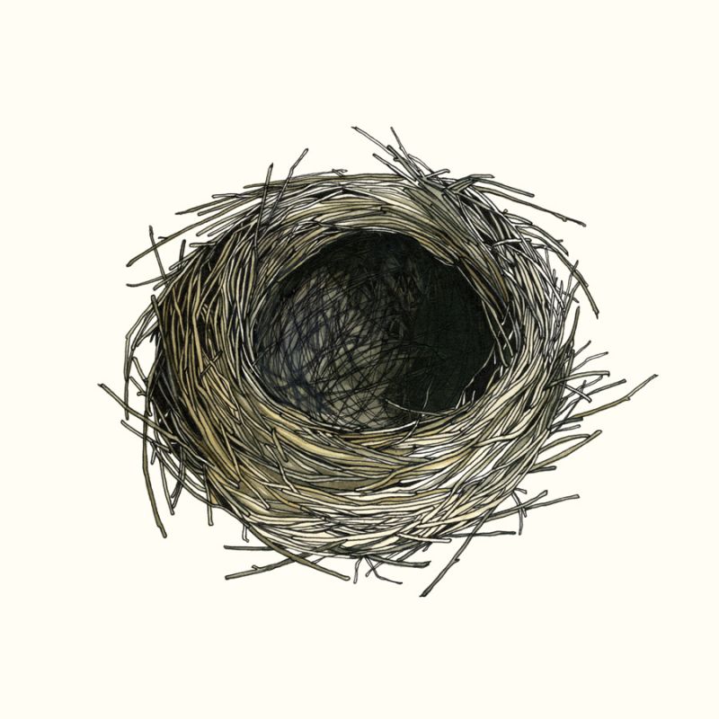 Watercolor Forest Nest