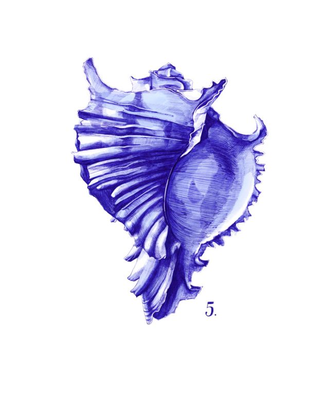 Sea Life in Pen 5