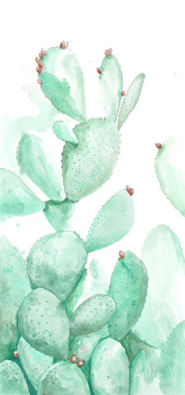 Turquoise Desert 2