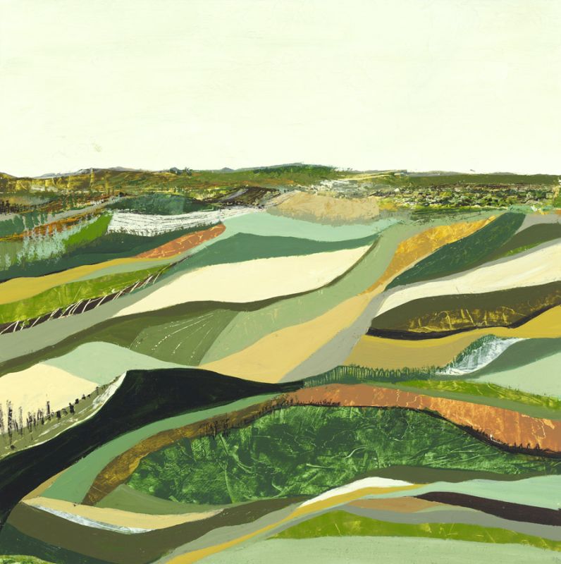 Topographs 6