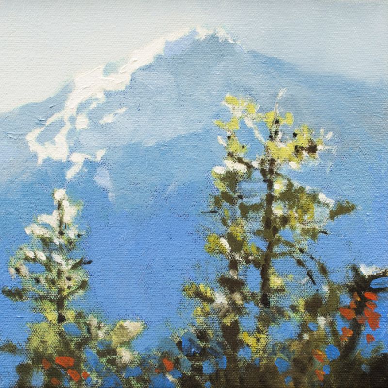 Hurricane Ridge