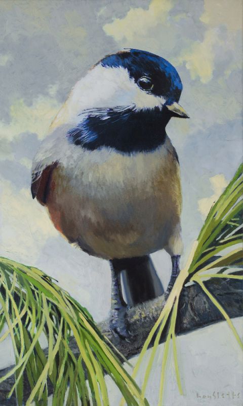 black-Capped Chickadee