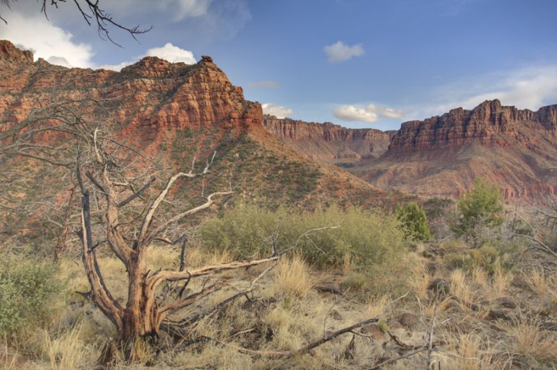 Upper Kolob Reservoir, Zion