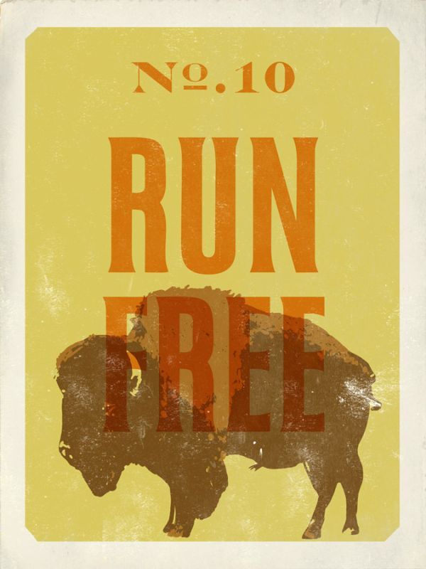 Buffalo 2