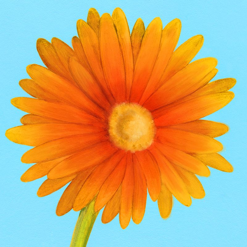 Flower Art 1