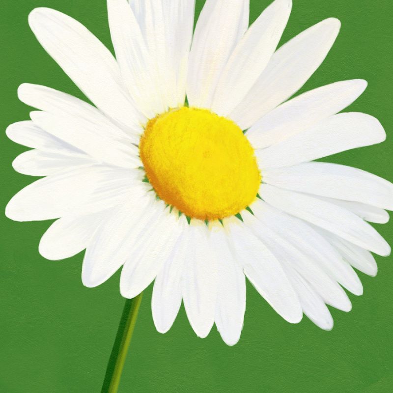 Flower Art 8
