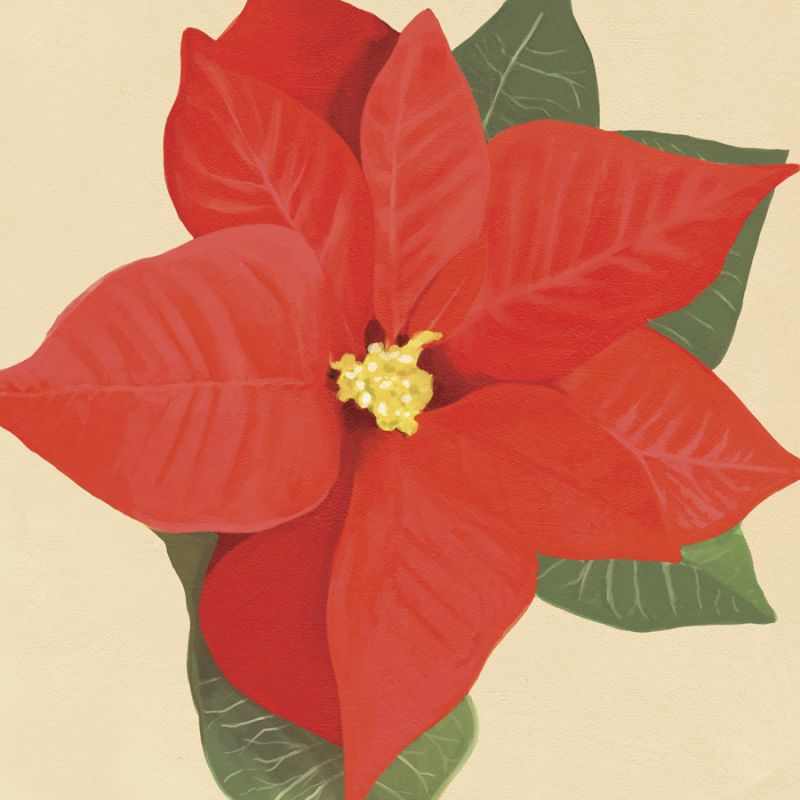 Flower Art 12