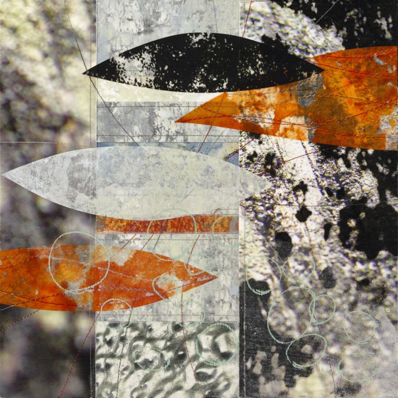 Koi 1