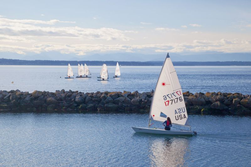 Golden Gardens