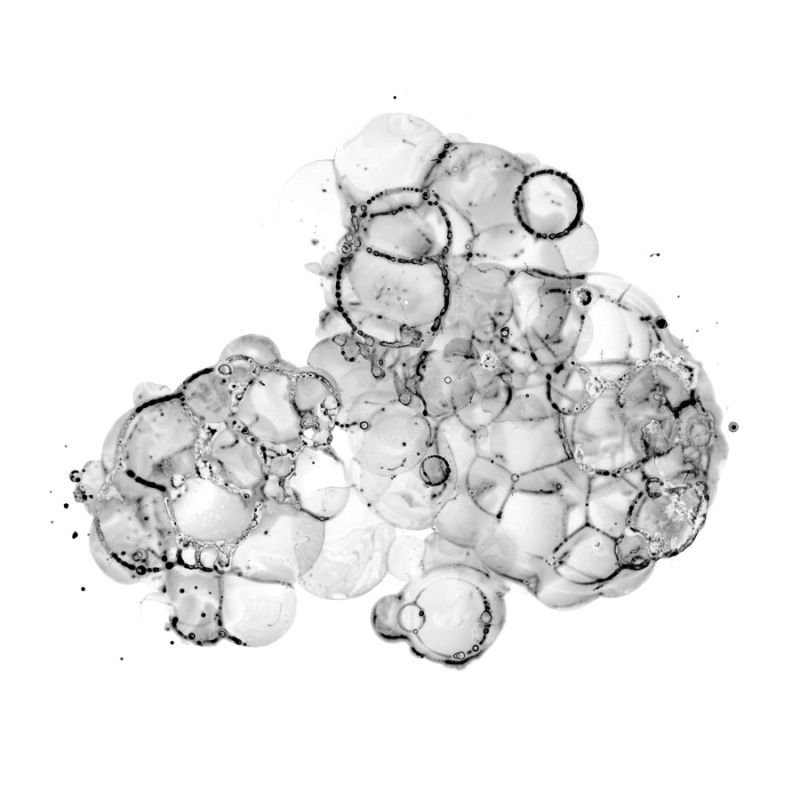 Cellular Cloud C