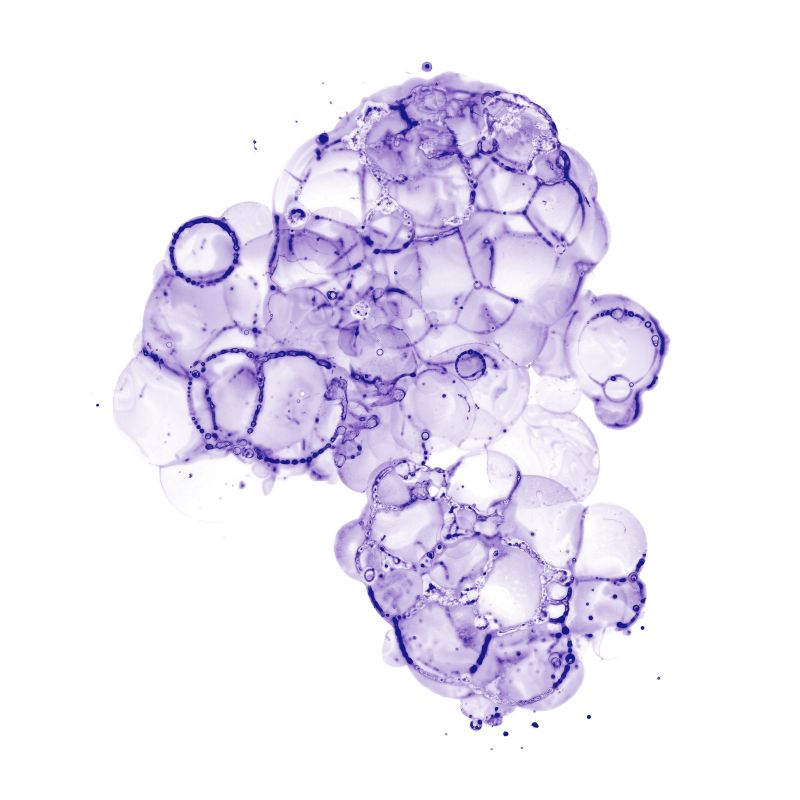 Cellular Clouds in Purple A