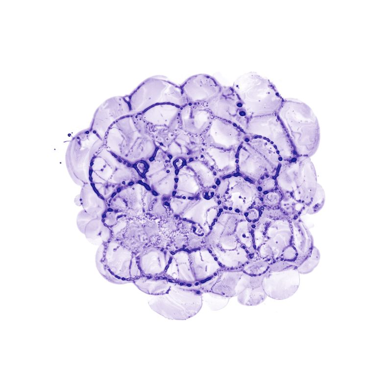 Cellular Clouds in Purple C