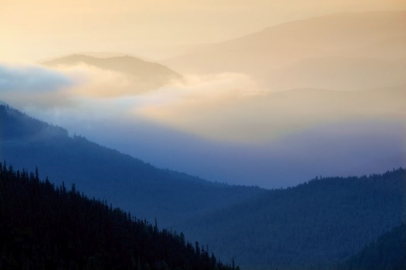 Sunrise and Fog