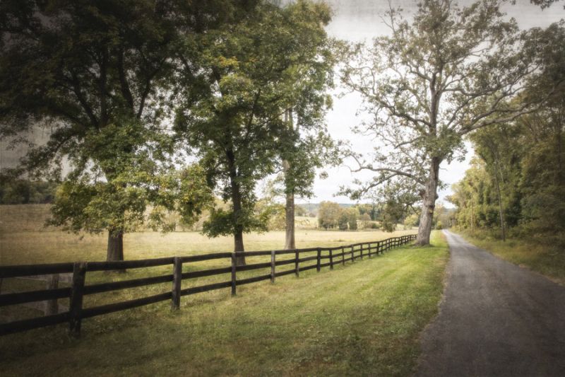 Fosters Fork Road