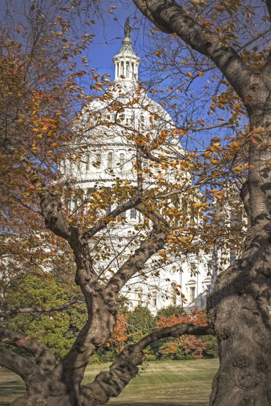US Capitol Autumn