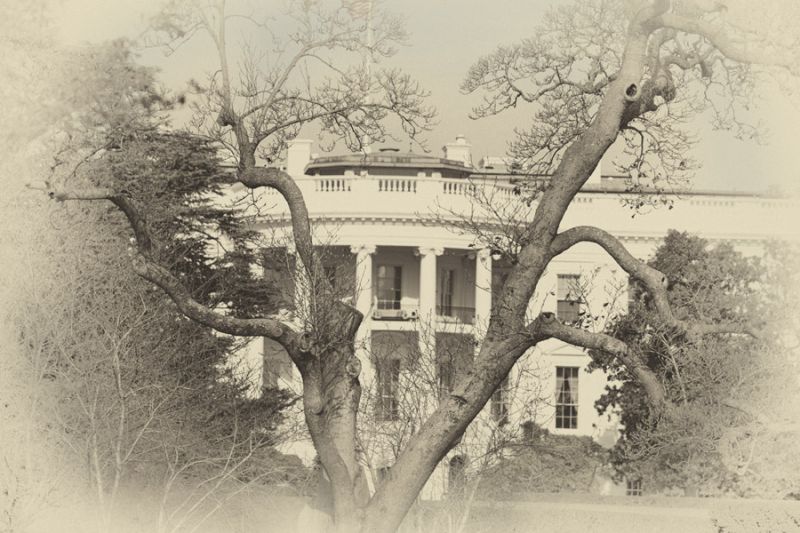 White House Sepia