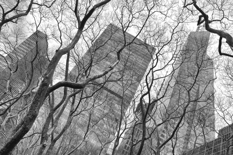 New York City Skyscrapers 1