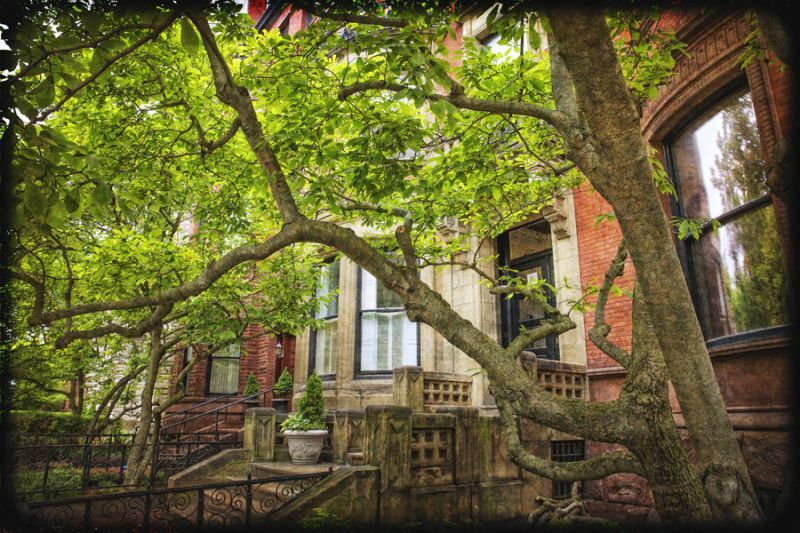 Back Bay Row Houses