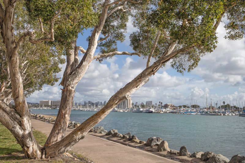 San Diego Harbor