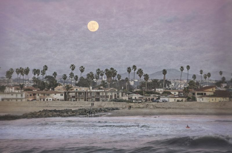 Moonlight Shore