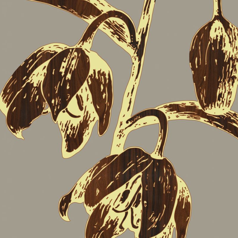 Fritillaria