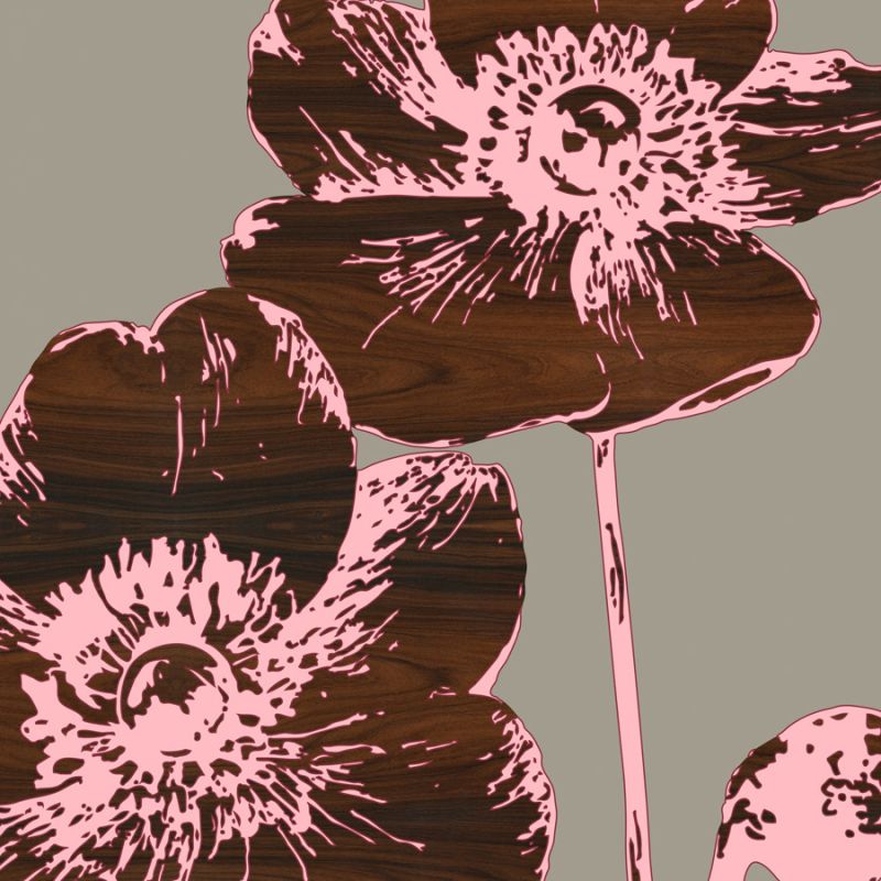 Japanese Anemone