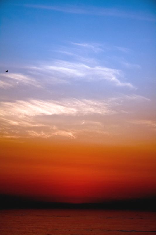 Sunset Flight