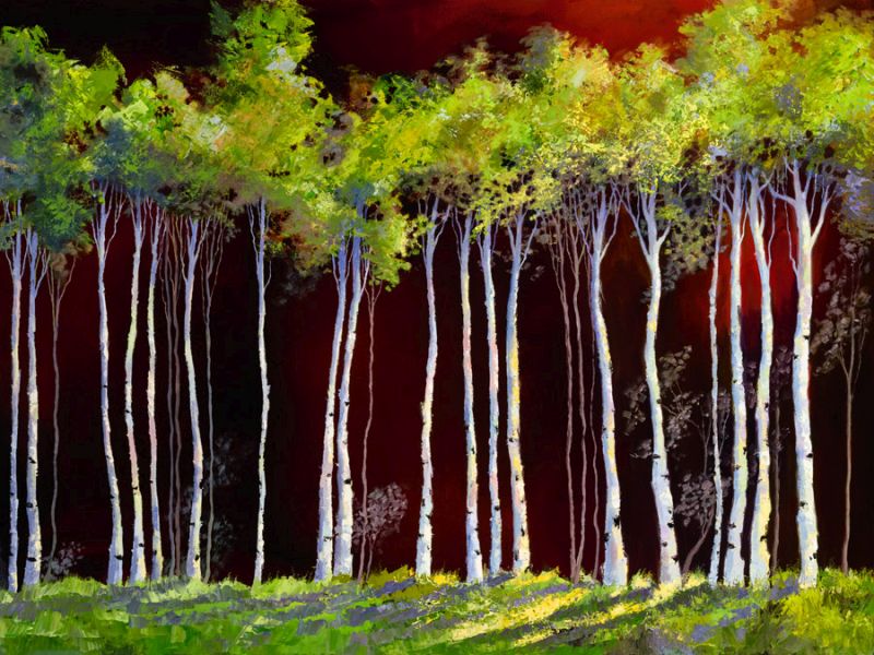 Birches 4