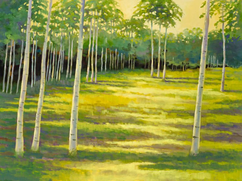 Sunlit Meadow