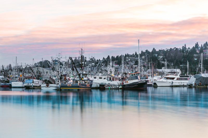 Ballard Marina I