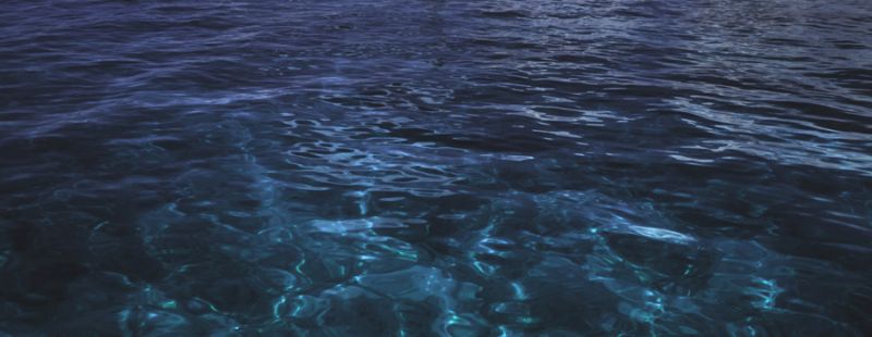 The Water