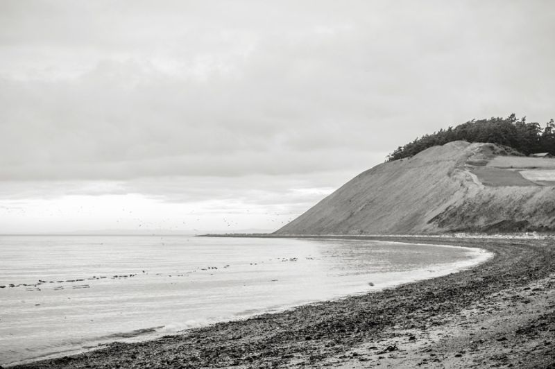 Beach, Ebeys Landing Whidbey Island