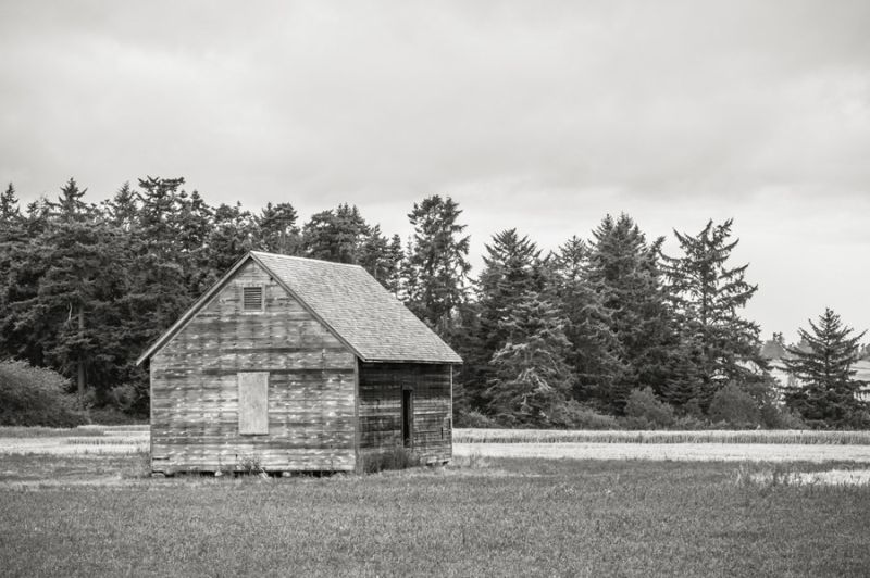 Old Shed, Hill Road Coupeville