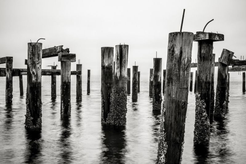 Pilings, Ruston Way Tacoma