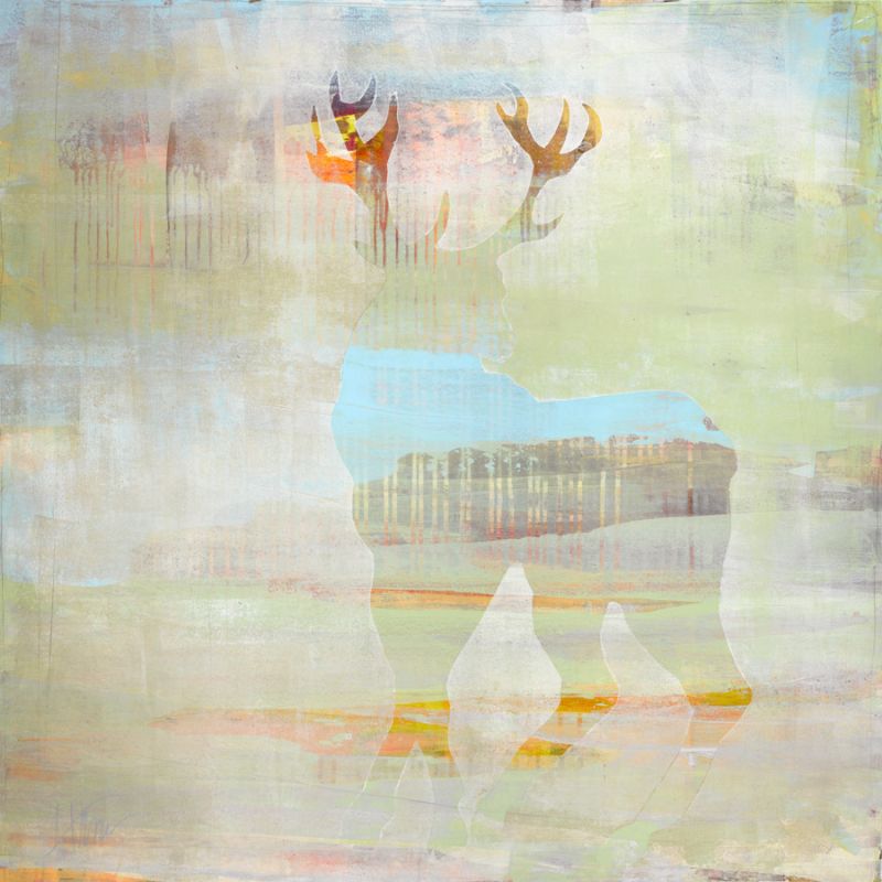 Lucky Buck 2