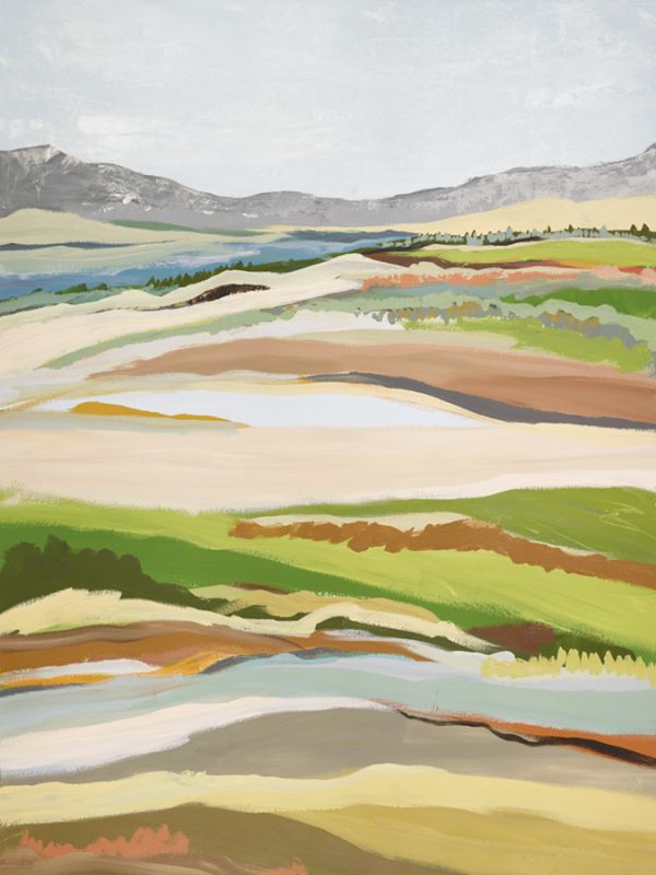 Tillage #12