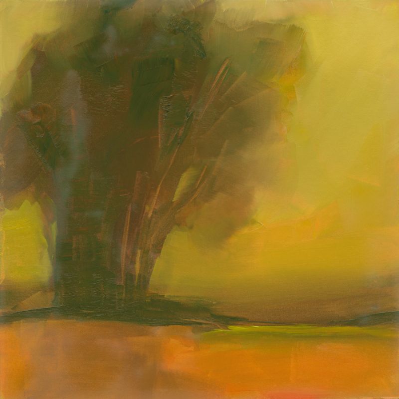 Somber Tree at Dusk