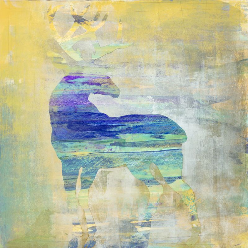 Sunset Stag