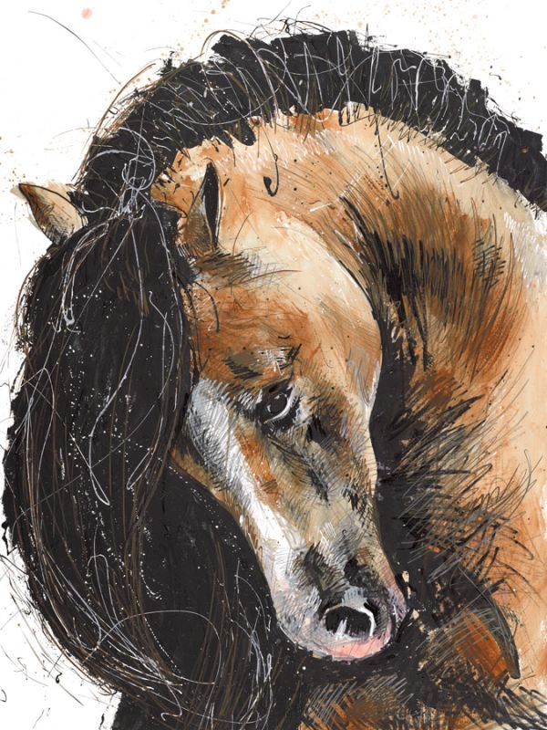 Brown Horse 2