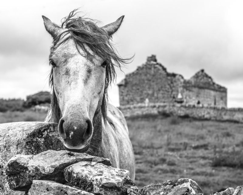 Ireland Black & White