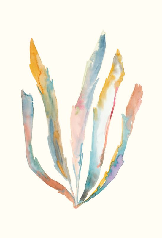 Rainbow Wash 5