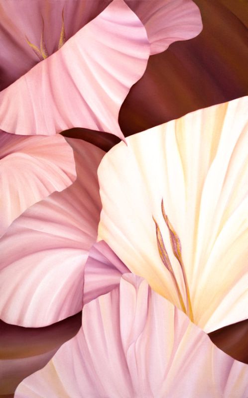 Codius Gladiolus