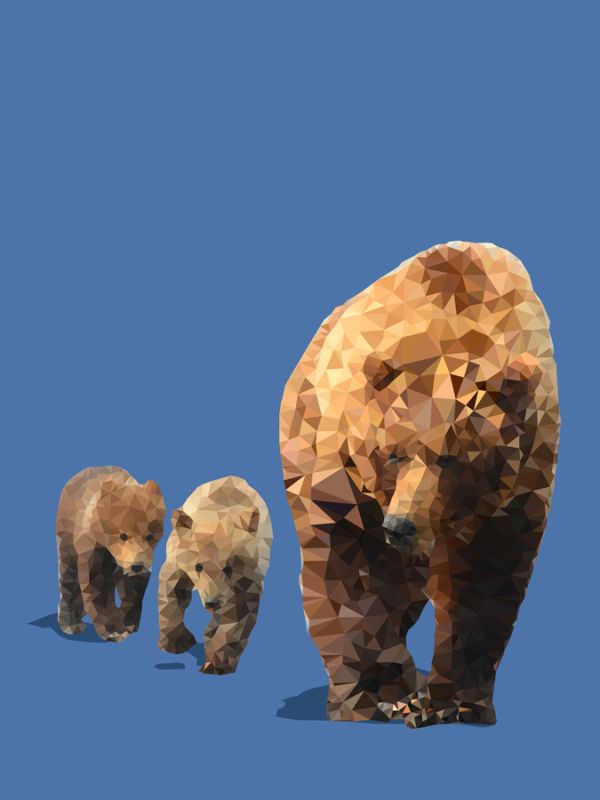 Fractal Bears