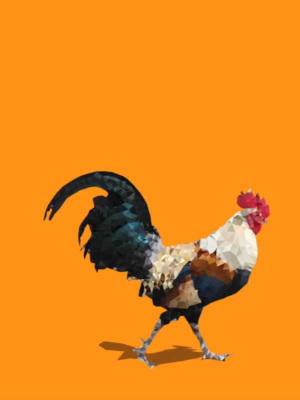 Fractal Rooster