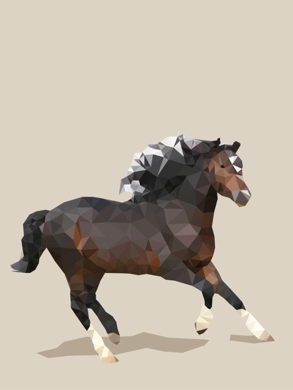 Fractal Horse