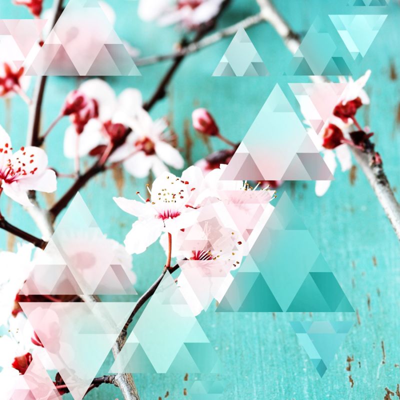 Crystalized Cherry Blossoms