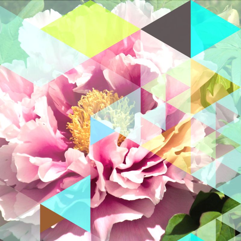 Crystalized Peonies