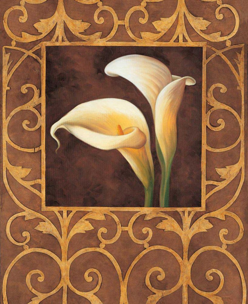 Ornamental Callas