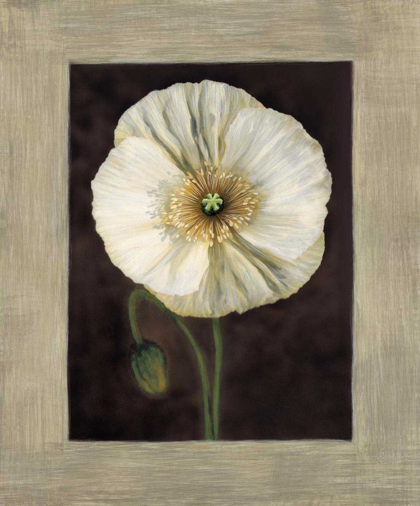 Flora I