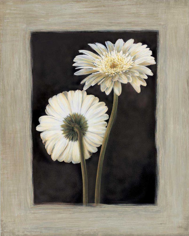Flora II